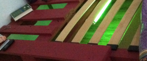 Pallet bed, green coloured neon lamp below