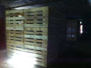 Video installation with euro pallets in a bunker, Bochum