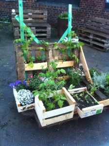 Pallet garden installation, front view