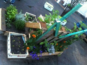 Garden installation made of pallets and flower pots, side view