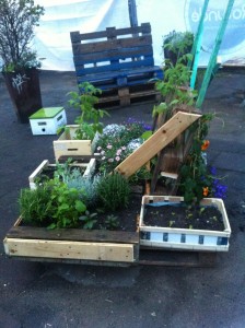 Pallet garden with potted plants, rear view