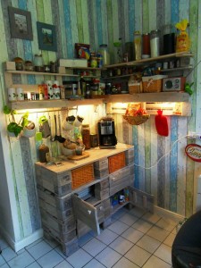 Pallet cabinet  and kitchen shelf, with lights