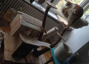 Finished pallet cat cottage, scratch poles